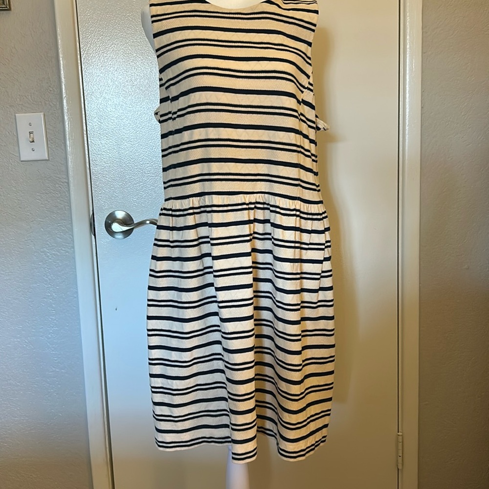 J Crew Women’s dress